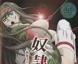 奴隶护理的乐趣第一部